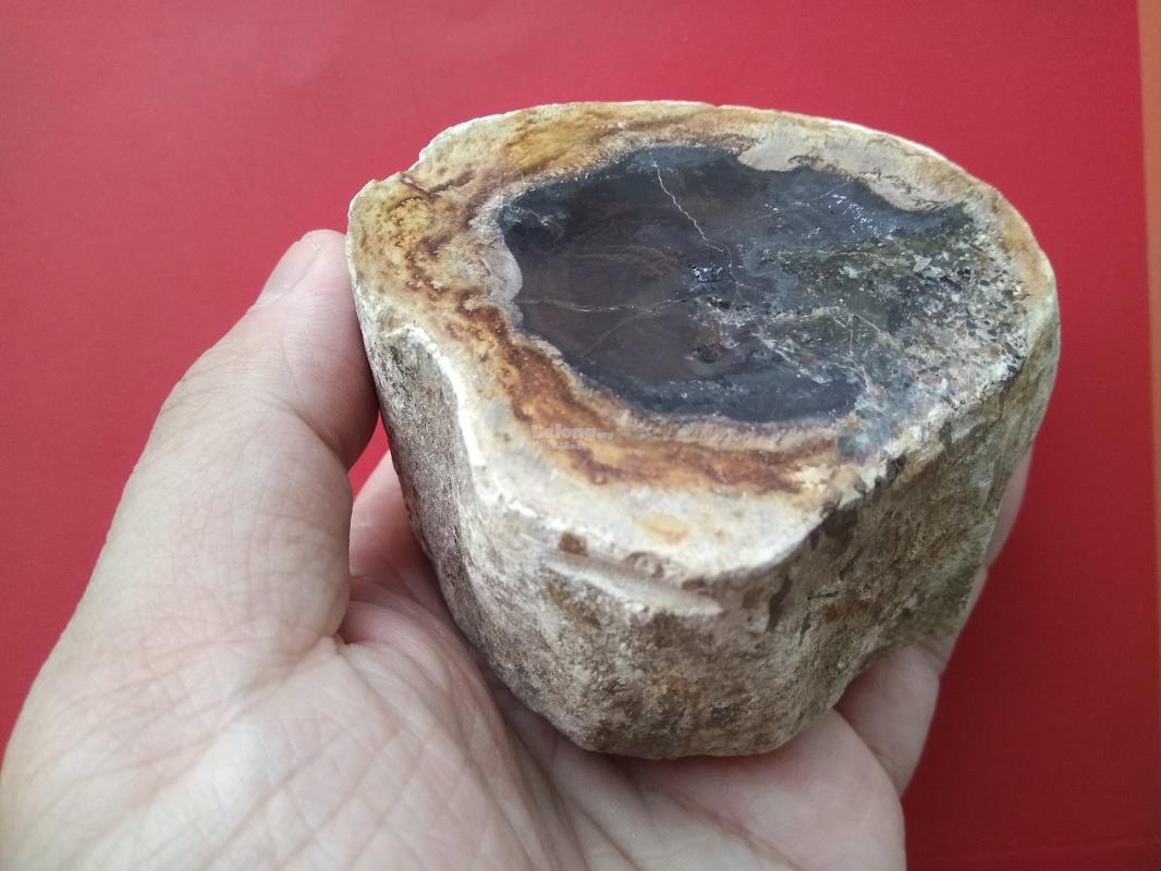  Kayu  Fosil  Sarawak Fossilized Wood end 3 18 2021 6 15 PM 