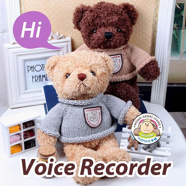 recording teddy bear