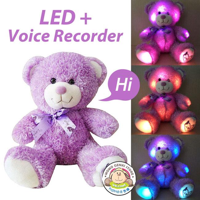 teddy bear with voice