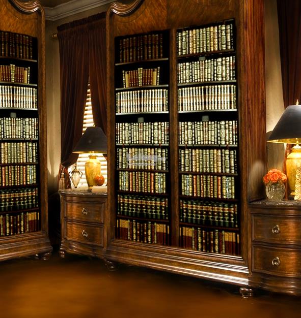 Library Bookshelf Bookcase Backdrop B (end 7/6/2019 6:15 PM)