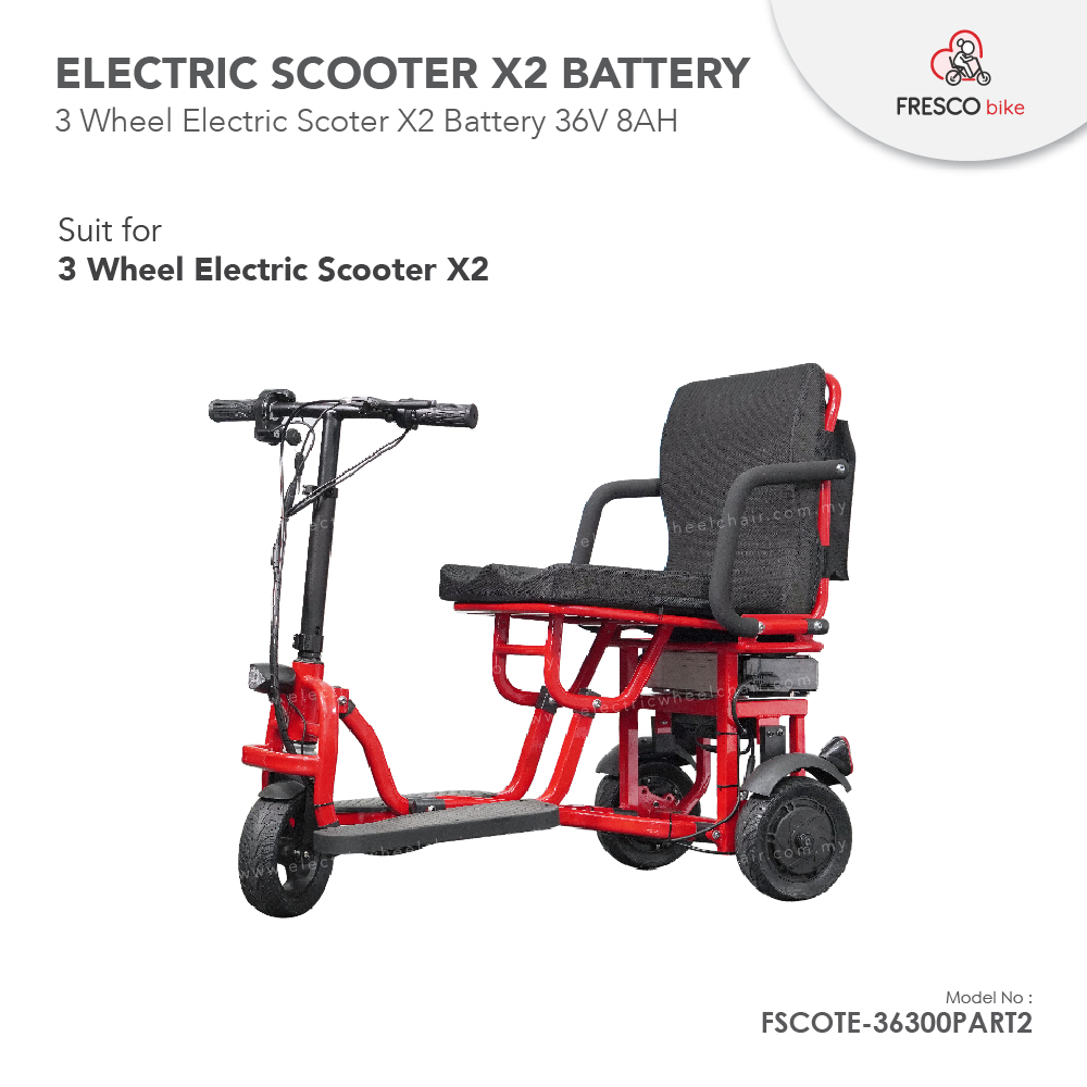 Lithium Battery 36V 8AH for 3 Wheel Electric Scooter X2