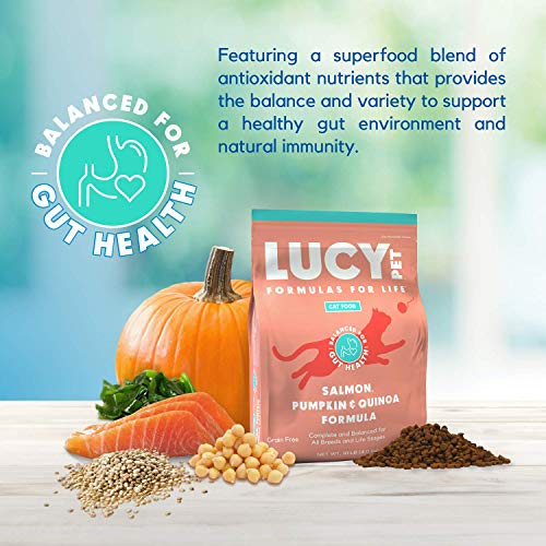 16 Lucy Pet Products Coupon Photography