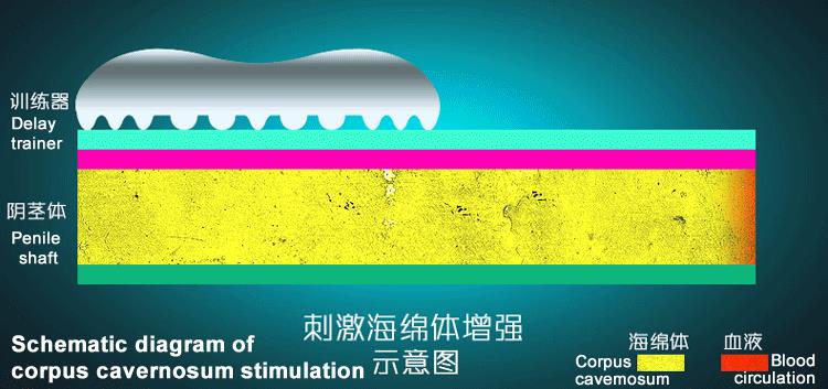 Something vibration in penis shaft Opinion you vibration in penis shaft exact