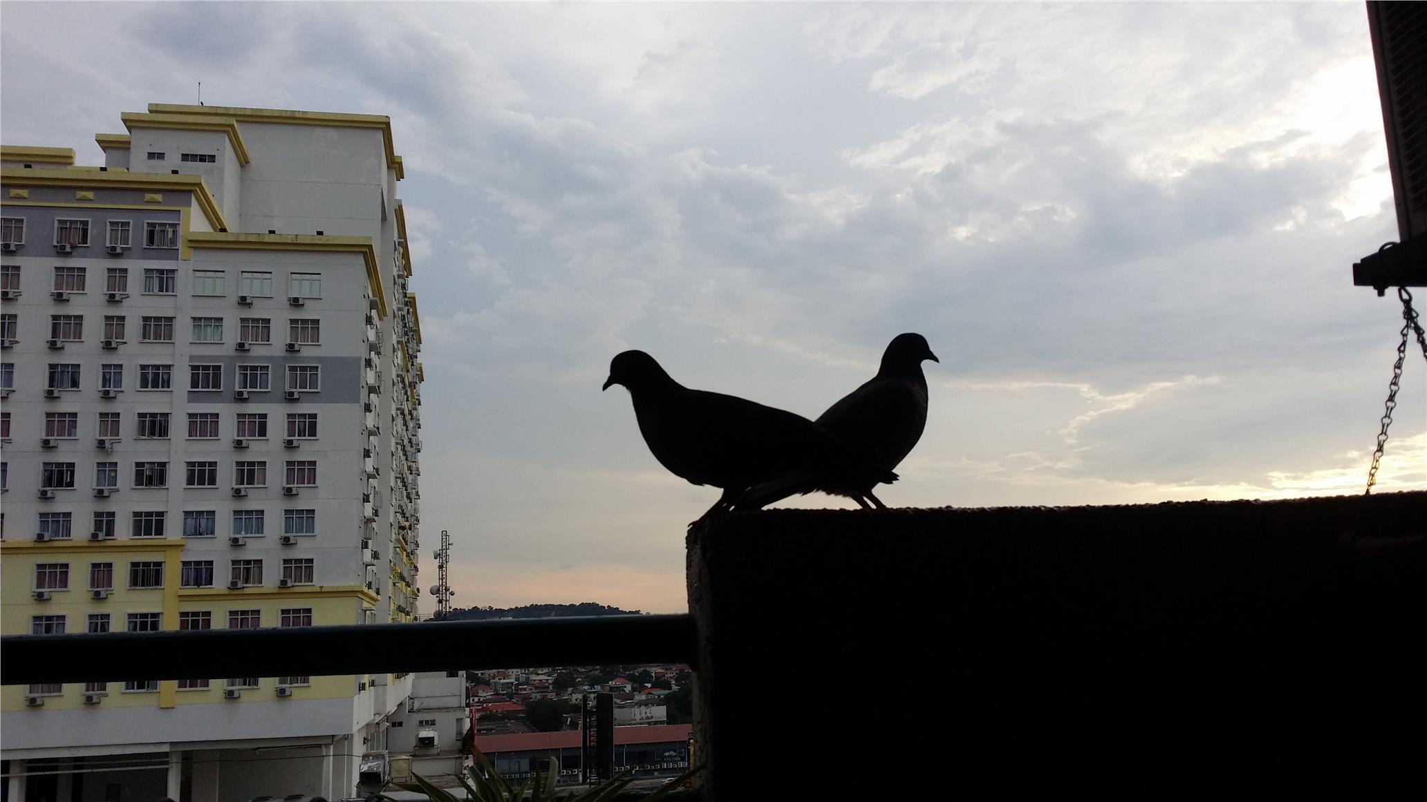 Bank Islam Seri Kembangan Seri Kembangan Bank Lellong Semi D Corner