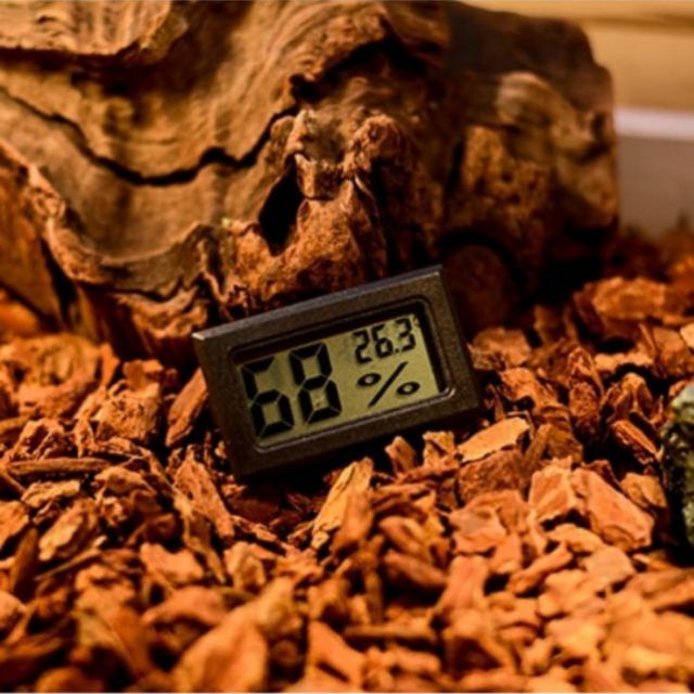 Mini Reptile Digital Thermometer H (end 11/30/2023 1200 AM)