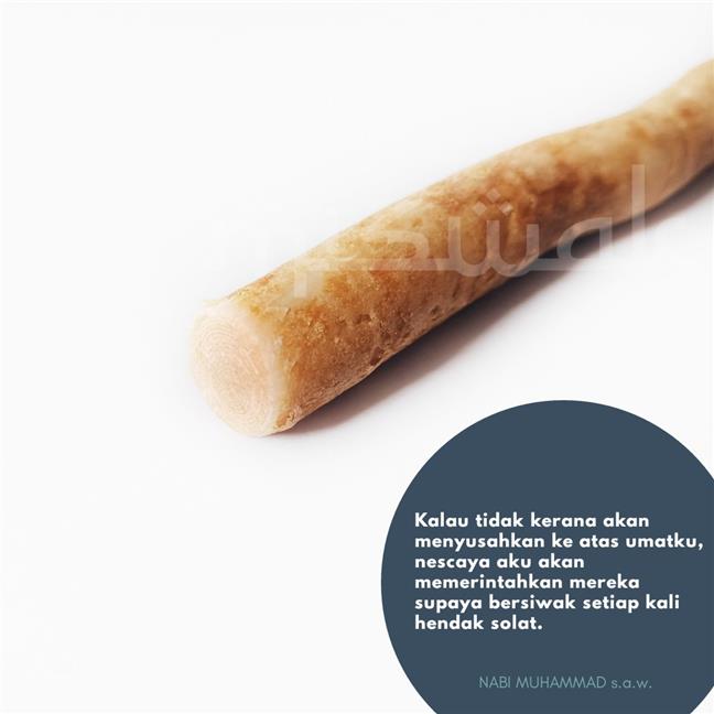 Miswak Toothbrush - Regular (Tidak (end 2/20/2020 10:15 PM)