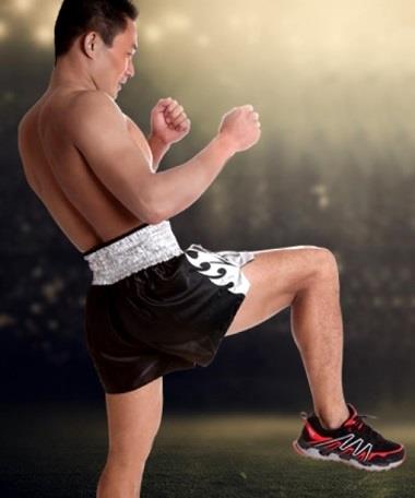 MMA UFC Training Boxing Muay Thai Gym Jersey Tinju Fitness Short Pant