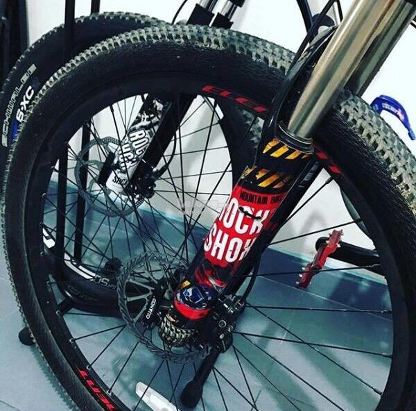 mtb fork guards