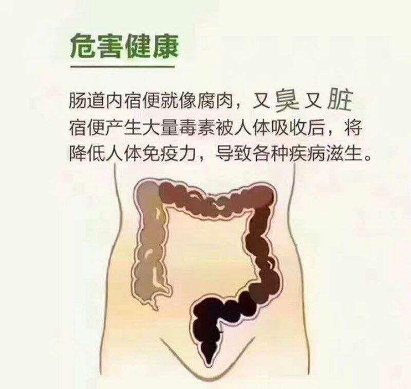 NATURINI - APPLE STEMCEL FIBER SOL