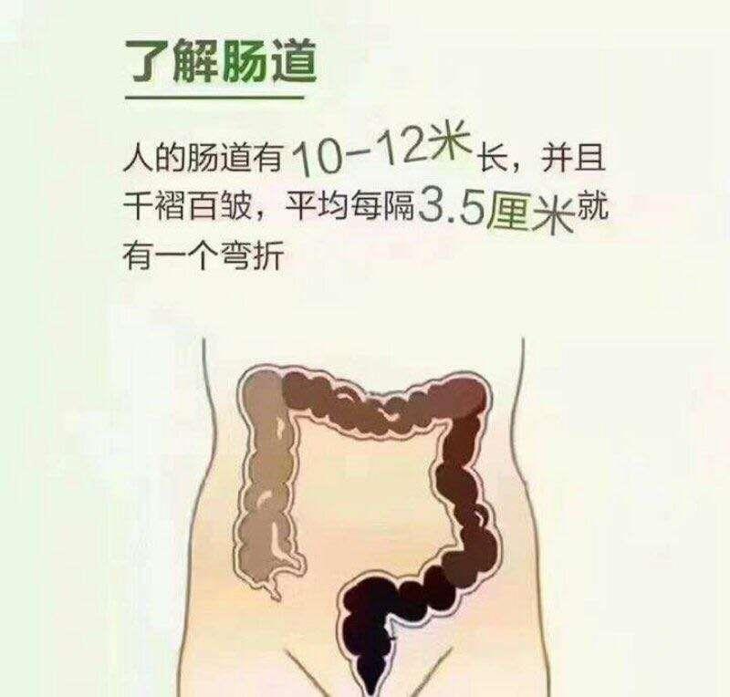 NATURINI - APPLE STEMCEL FIBER SOL