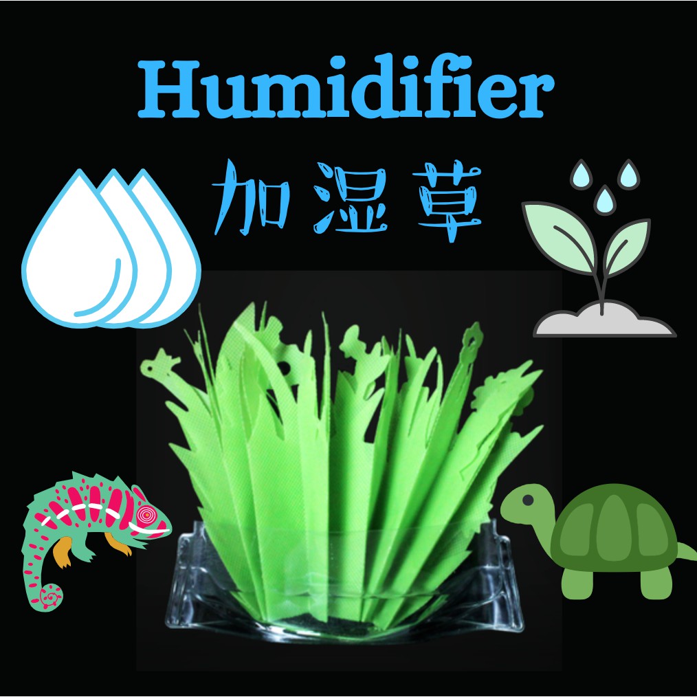 Nomoypet Humidifier