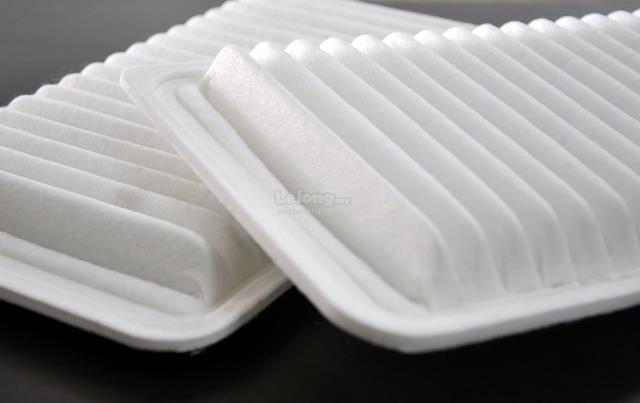 OEM Air Filter for Viva 660/1000 & M (end 9/11/2021 6:14 PM)