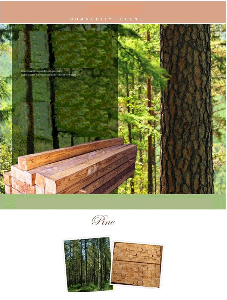 OSUKI Pine Wood Queen Size Bed Frame 200 x 150cm
