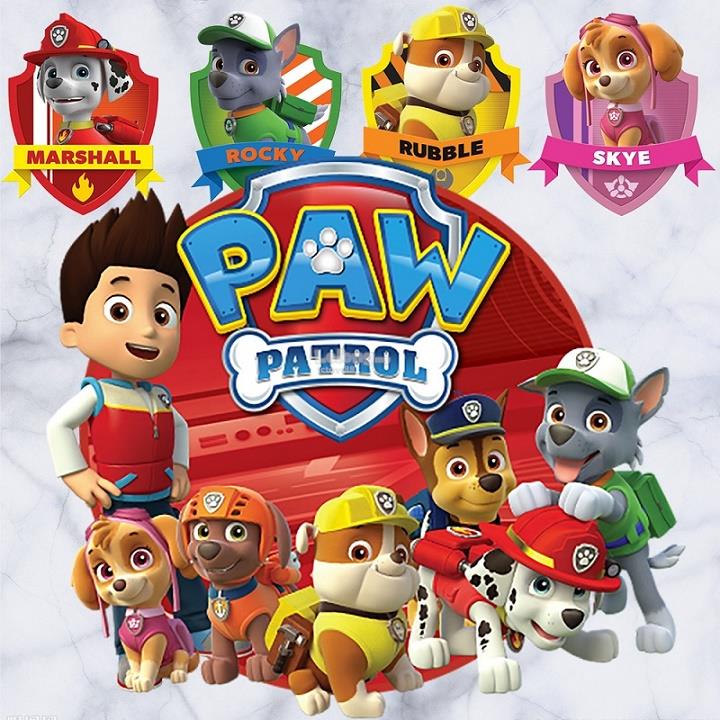 paw patrol rescue team