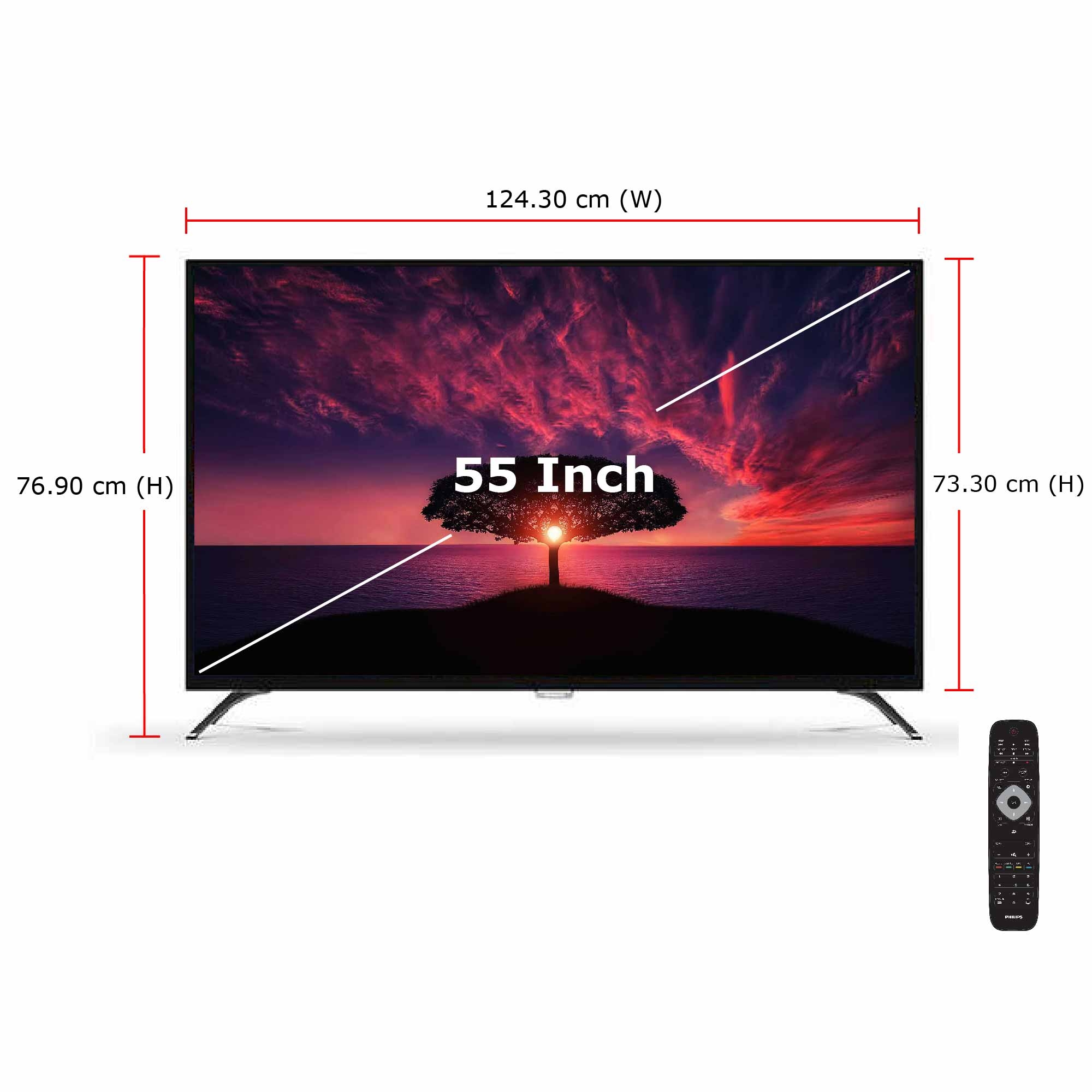 Philips TV 55PUT6002 (55 Inch) VGA