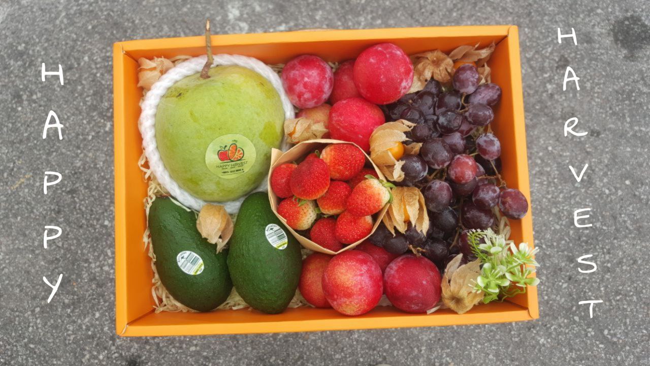 Plumny Fruit Box