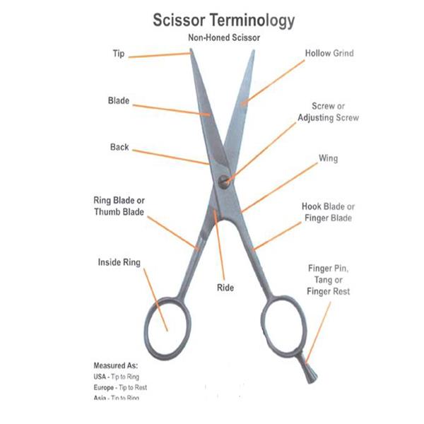Professional Stainless Steel Hair Cut End 4 1 2020 2 15 Pm