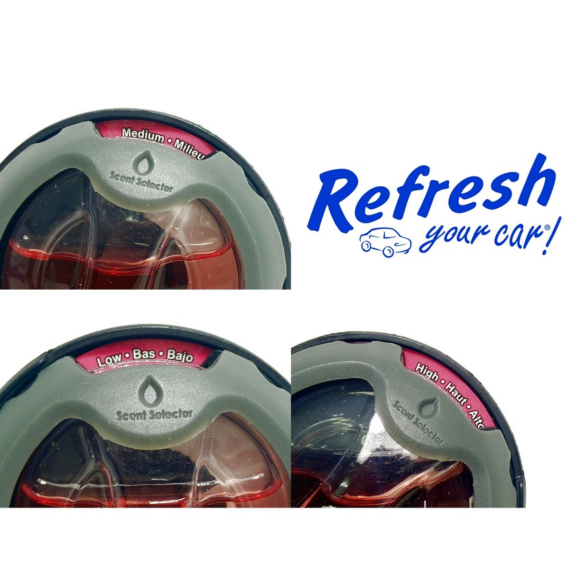 REFRESH YOUR CAR MIXED BERRIES - DIFFUSER