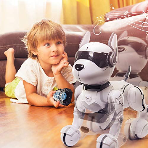 rc robot dog toy