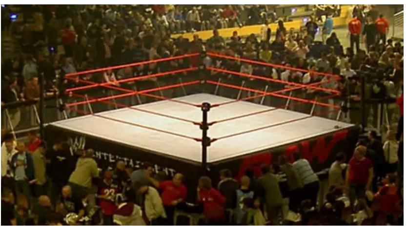 Ring Stage Boxing Muay Thai Wrestling Gym WWE WWF MMA Sport Tinju