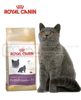 Royal Canin British Shorthair Adult End 3 5 2019 11 15 Pm