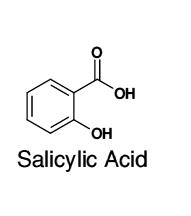 Salicylic Acid 100g 