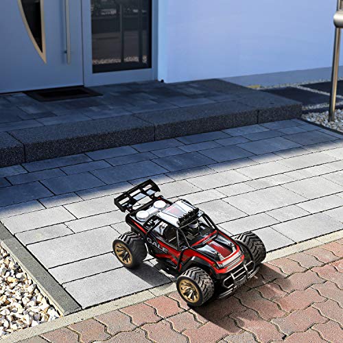 sgile remote control car