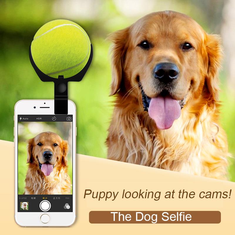 Smartphone Attachment Selfie Stick for Pet Attract The Ball