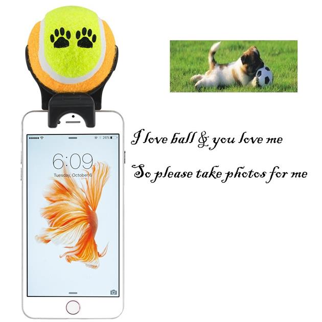 Smartphone Attachment Selfie Stick for Pet Attract The Ball
