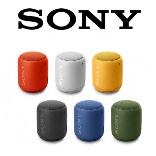 Sony SRS-XB10/ Extra Bass Protable Wireless Bluetooth Speaker