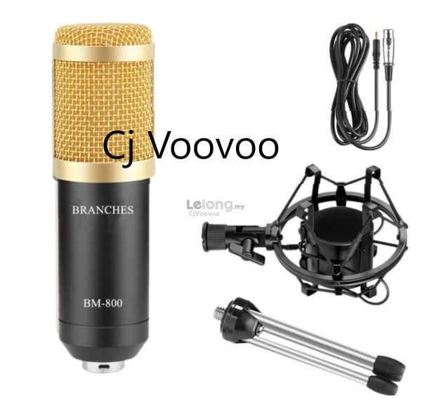 (No Sound Card) BM800 Condenser Mi (end 11/11/2023 1201 PM)
