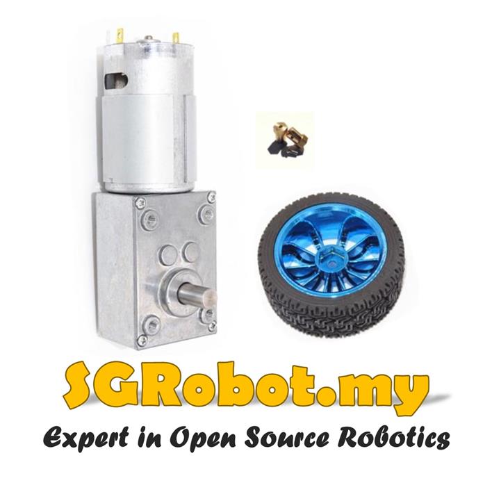 Sumo Robot 12V/24V 260rpm A58SW-555 Worm Gear High Torque DC Motor Set