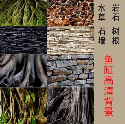 Unduh 830 Background Aquarium Wall HD Terbaik