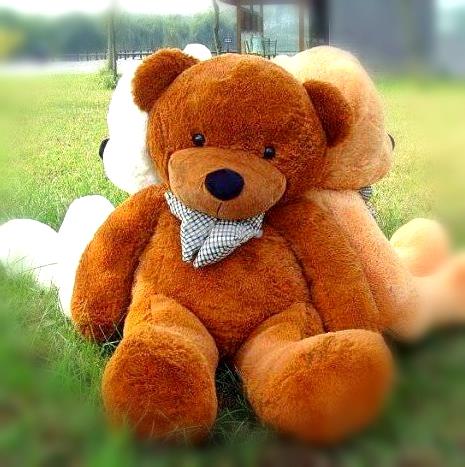teddy bear besar dan murah