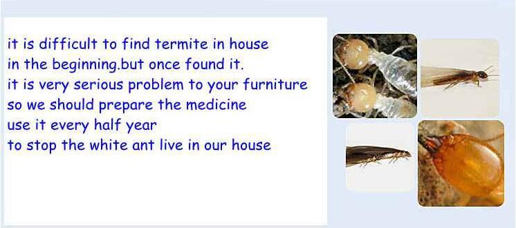 Termite Killing White Ants Fipronil Kill Ants Bait New Arrival Powder