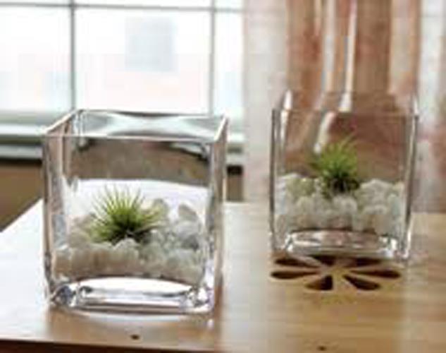 Transparent Square Shape Glass Vase H End 1 4 2020 3 15 Pm