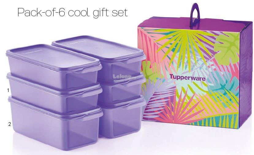 Tupperware Cool Stacker Set - Medium