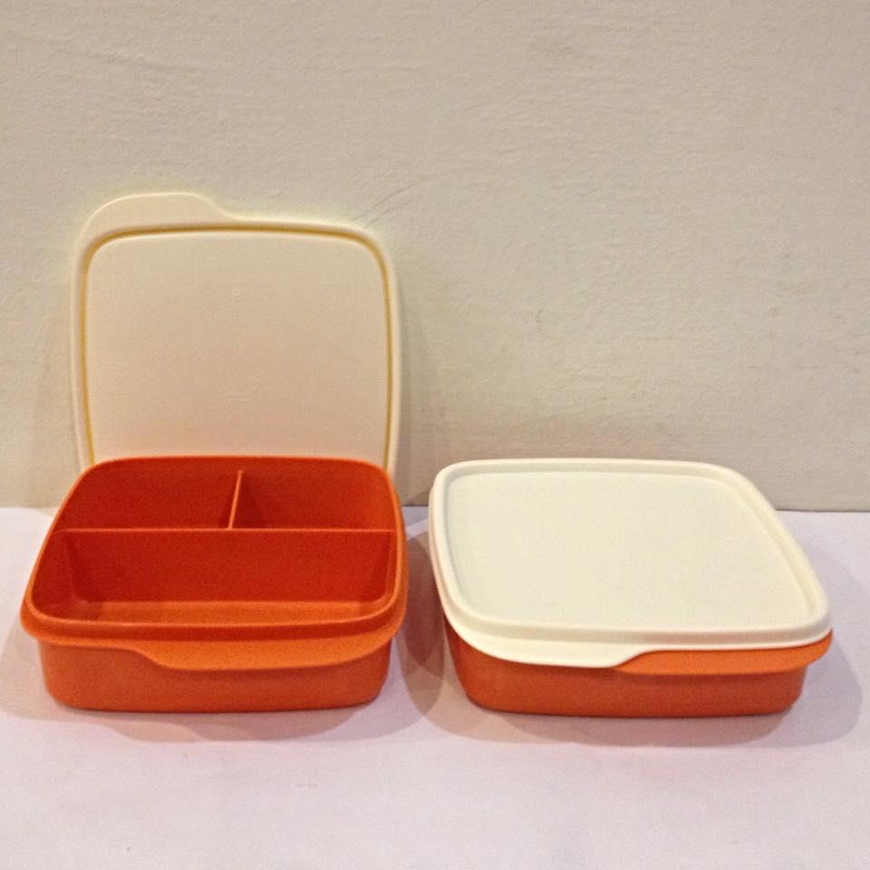tupperware orange lolly tup bento lu end 8 3 2016 12 15 am tupperware orange lolly tup bento lu end 8 3 2016 12 15 am