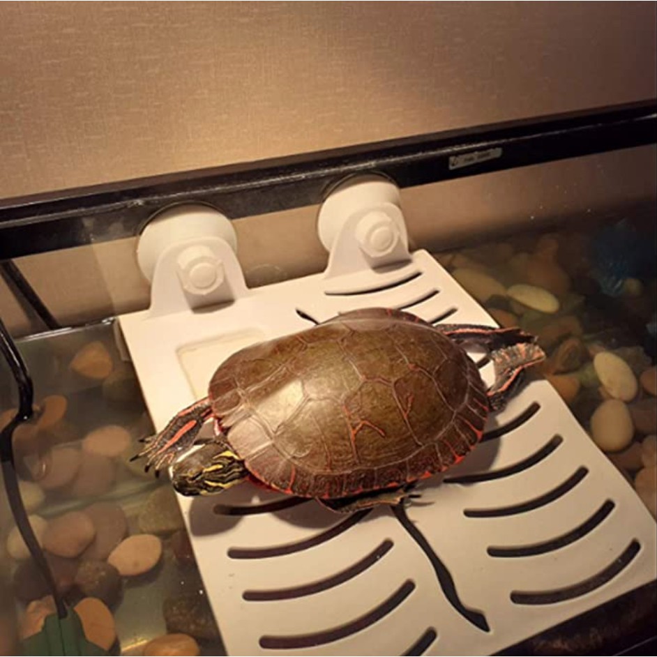 Turtle Basking Platform Tortoise Ramp Reptile Tank