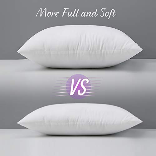 From Usa Emolli 12 X 20 Pillow Inse End 4 3 2022 12 00 Am