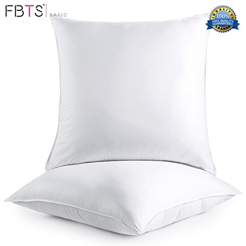 From Usa Fbts Basic Pillow Insert 2 End 4 3 2022 12 00 Am