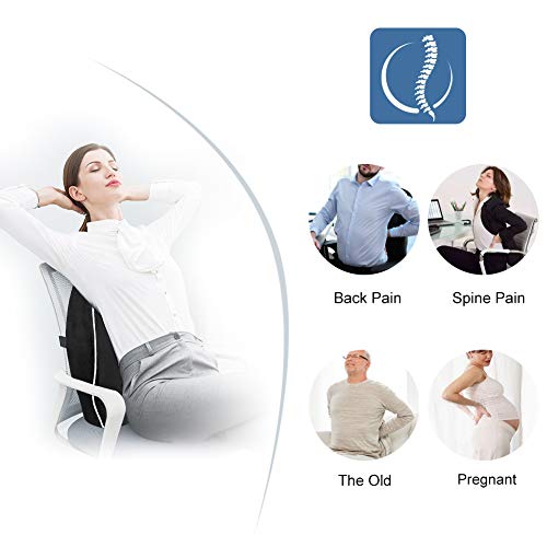 From Usa Lumbar Support Back Cushi End 4 11 2022 12 00 Am