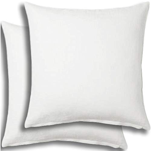 From Usa Set Of 2 Pillow Insert 3 End 4 3 2022 12 00 Am