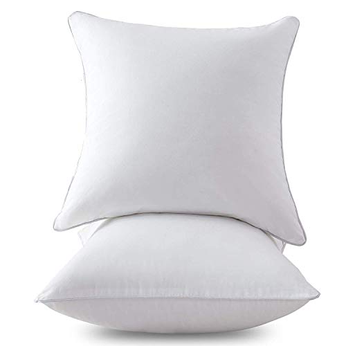 From Usa Sfoothome 2 Pack 20 X 20 S End 4 3 2022 12 00 Am