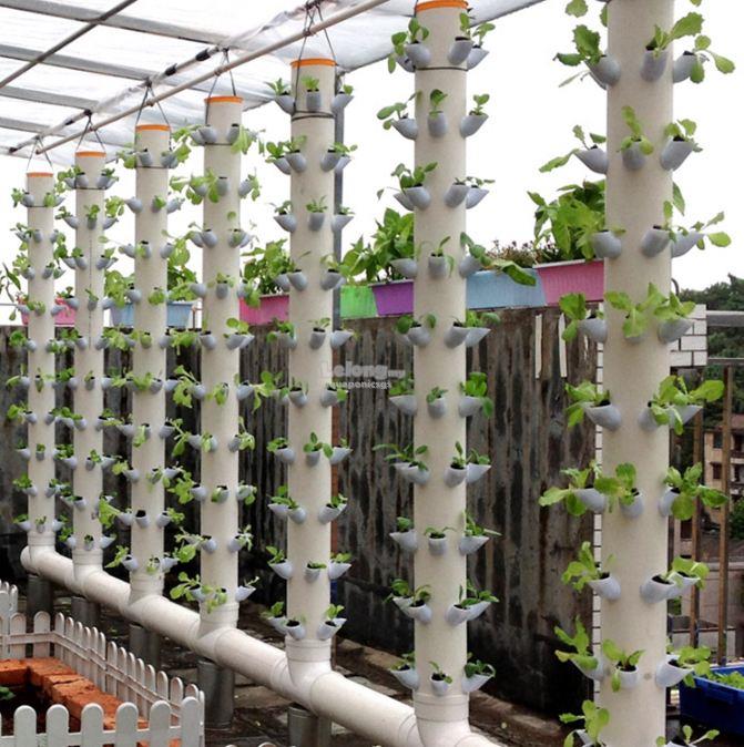 vertical tower plant pot hydroponics end 2/14/2018 9:15 pm