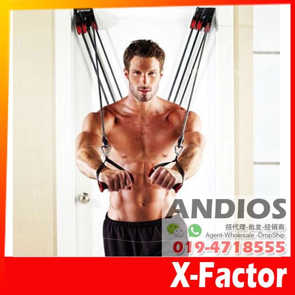 Weider X Factor Body Workout System Door Gym Equipment Exercise Abs