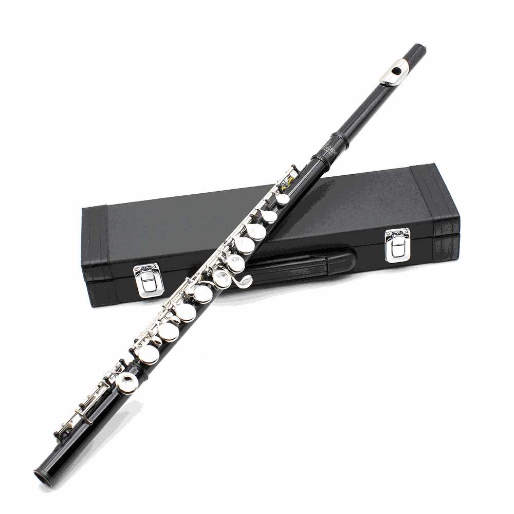 Western Concert Flute Cupronickel Pl (end 1/1/2022 12:00 AM)