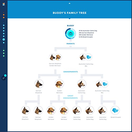 wisdom panel dog dna test kit