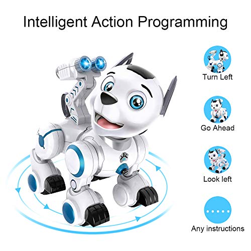 interactive remote control robot