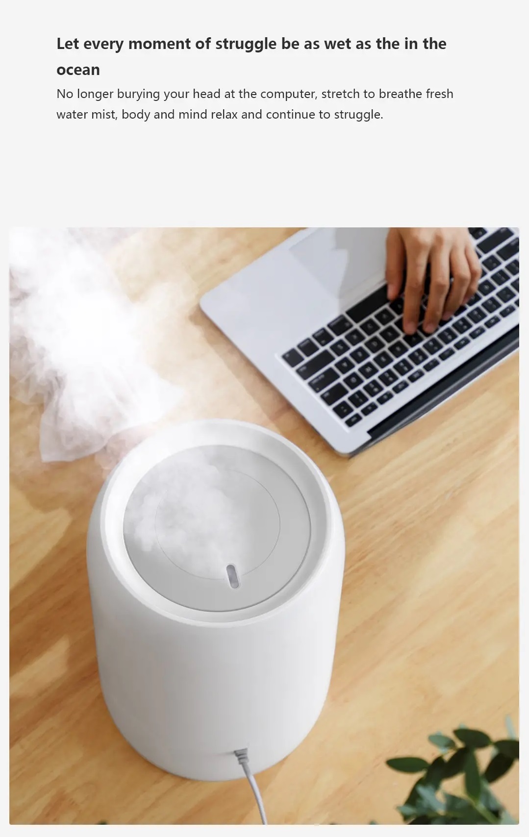 Xiaomi Deerma Humidifier DEM-F800 5 (end 11/1/2022 12:00 AM)